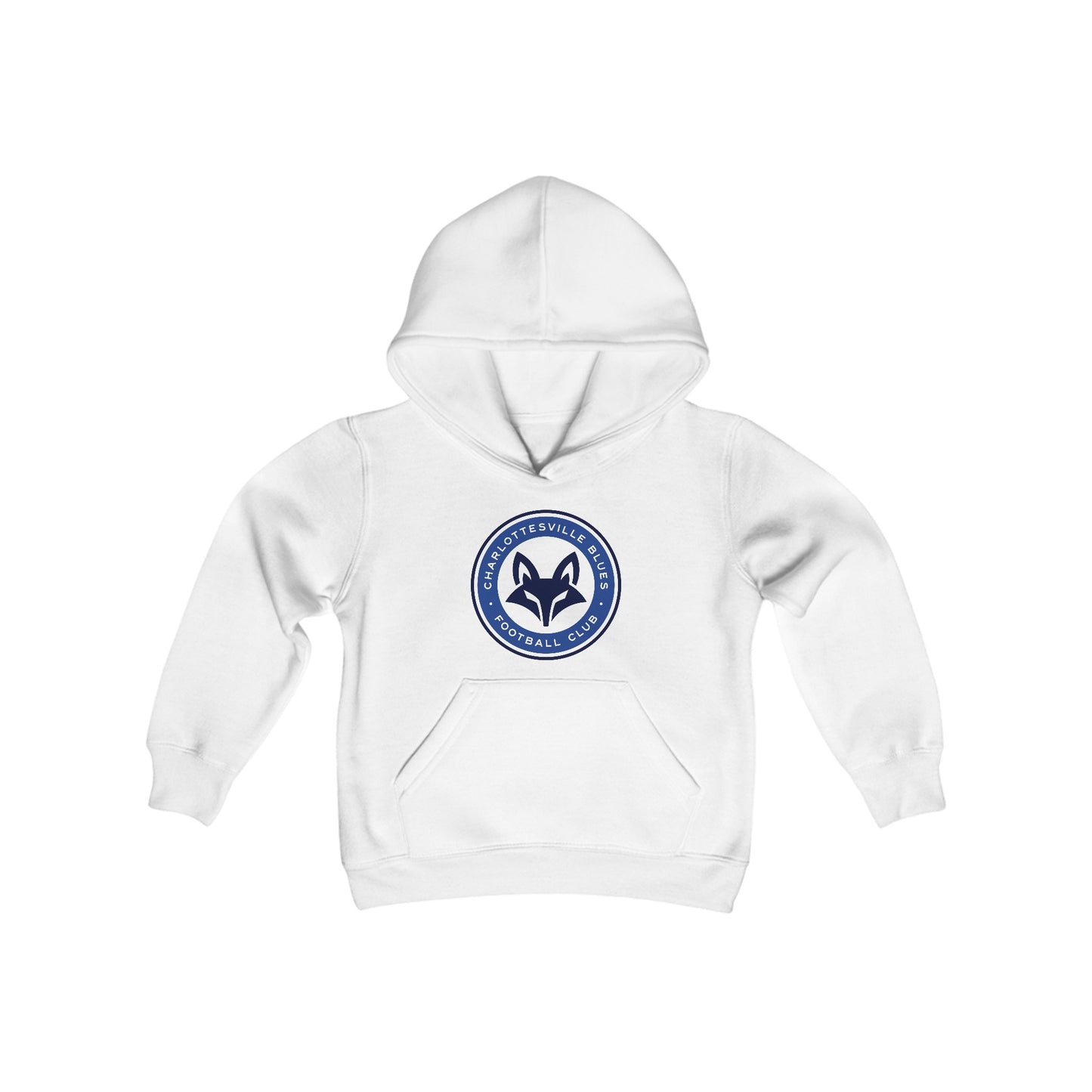 Blues FC Pitch Invaders Youth Hoodie (Unisex)