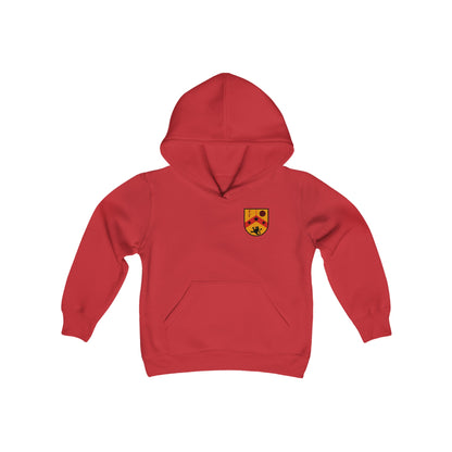 Fierce Futbol Lions Pitch Invaders Youth Hoodie (Unisex)