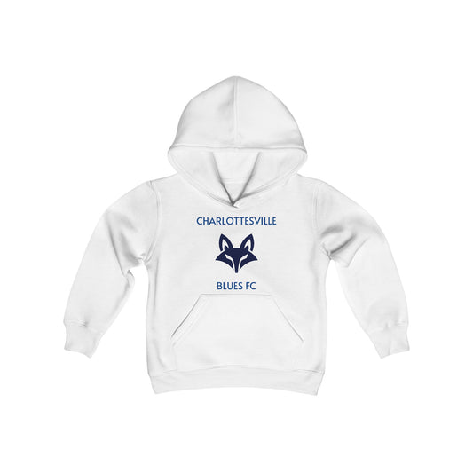Blues FC Fox Pitch Invaders Youth Hoodie (Unisex)
